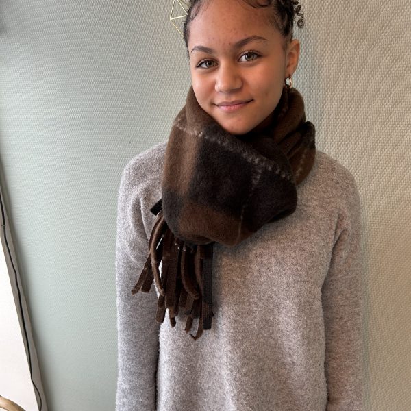 Echarpe losagne choco