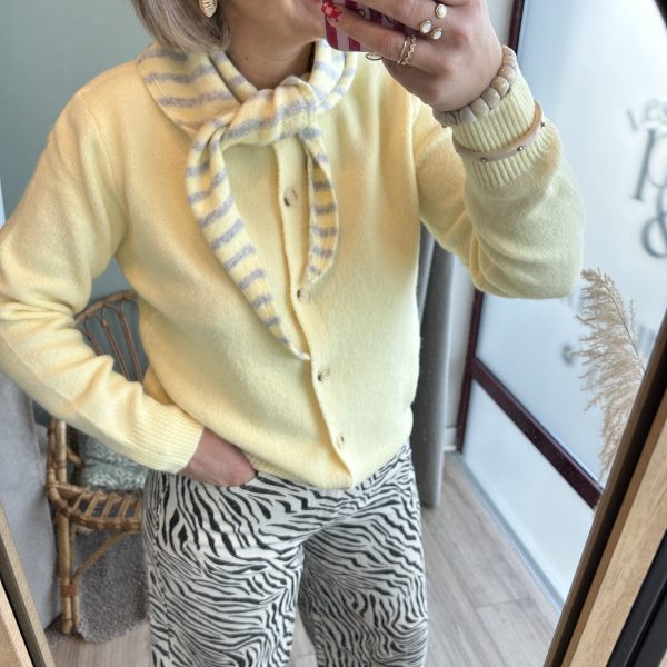 Pull Murielle